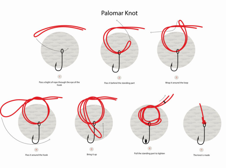 Step-by-Step Instructions to Tie a Palomar Knot